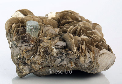 Мусковит – рожденный в Московии